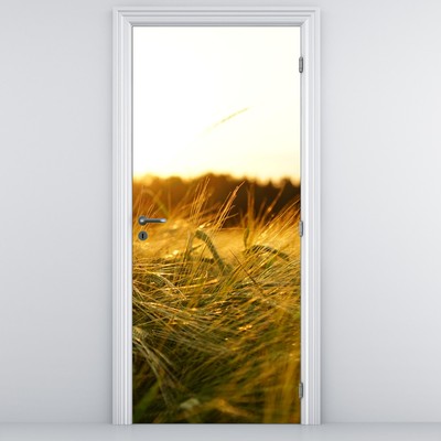 Fotótapéta ajtóra - Harmatos fű
