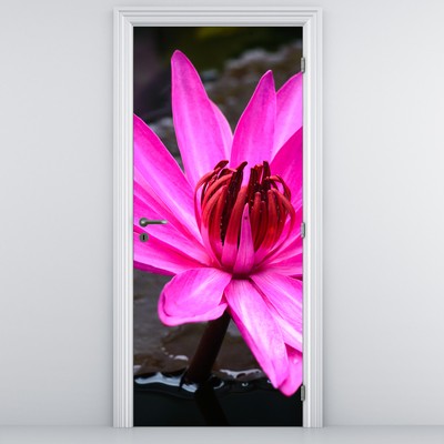 Fototapeta na drzwi - Różowy kwiat