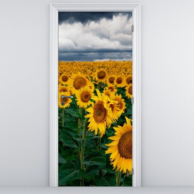 Fototapet pentru ușă - Câmp cu floare soarelui