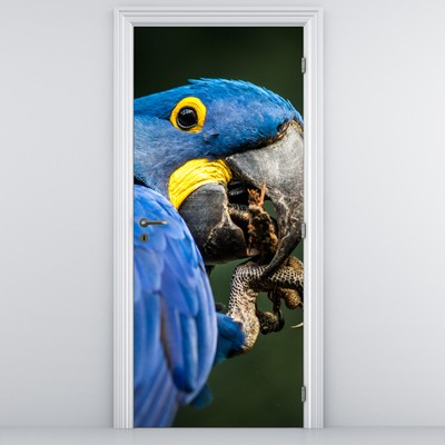 Fototapeta na dveře - Papoušek (D020714D95205)