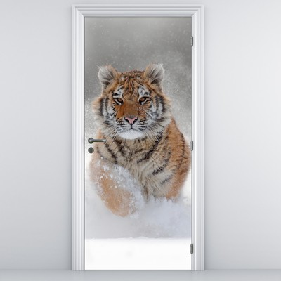 Fototapeta na drzwi - Biegnący tygrys po śniegu