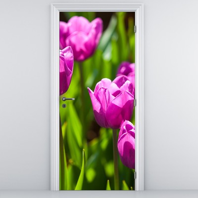 Fototapeta na dveře - Tulipány na louce