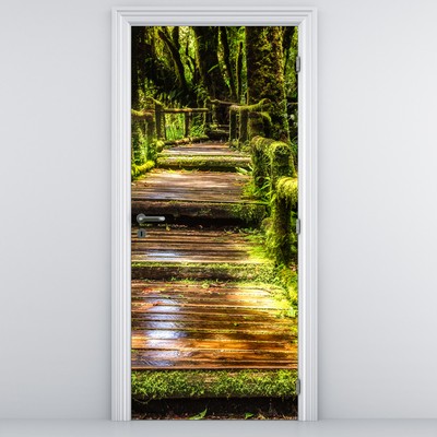 Fototapeta za vrata - Stopnice v deževnem gozdu