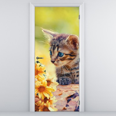 Fotótapéta ajtóra - Cica virágot figyelve