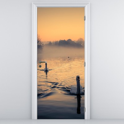Fototapeta na drzwi - Łabędzie na wodzie we mgle