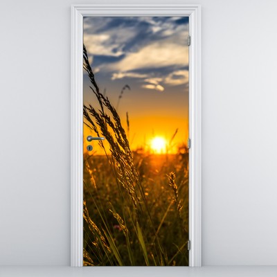 Foto tapeta za vrata - Polje na zalasku sunca