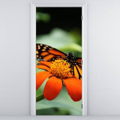 Fototapeta na drzwi - Motyl na kwiatku