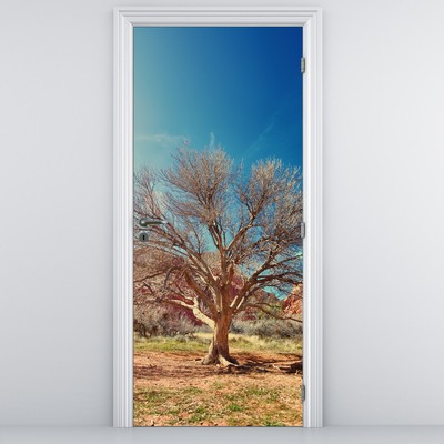 Fototapet pentru ușă - Copac în deșert