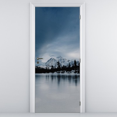 Fototapet pentru ușă - Pe lacul înghețat