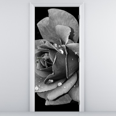 Fototapeta na drzwi - Róża, czarno - biała