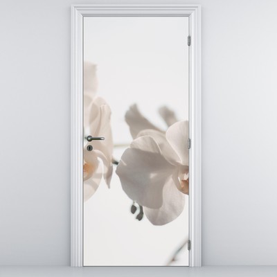 Foto tapeta za vrata - Bijele orhideje