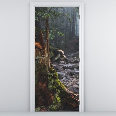 Fototapet pentru ușă - În pădure