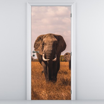 Fotótapéta ajtóra - Az elefánt érkezése