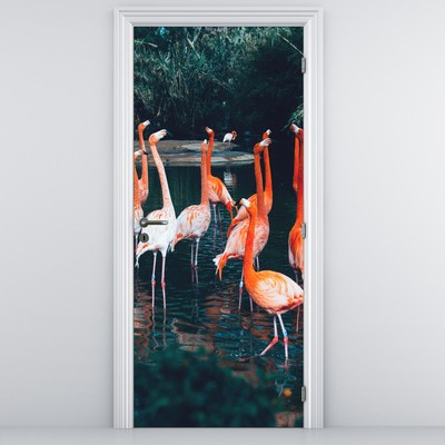 Fototapeta na drzwi - Stada flamingów