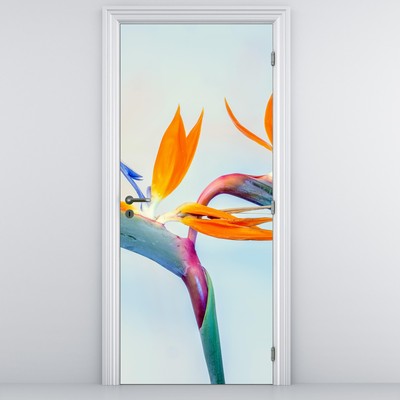 Fotótapéta ajtóra - Papagájvirág