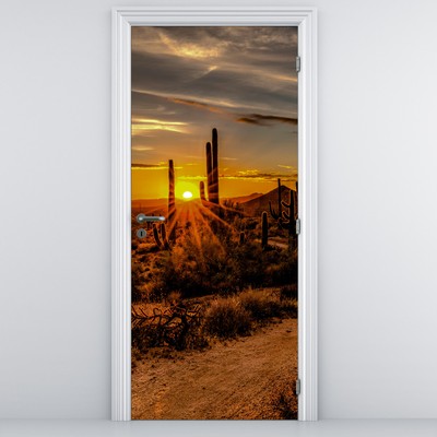 Fototapet pentru ușă - Sfârșitul zilei în deșertul Arizona