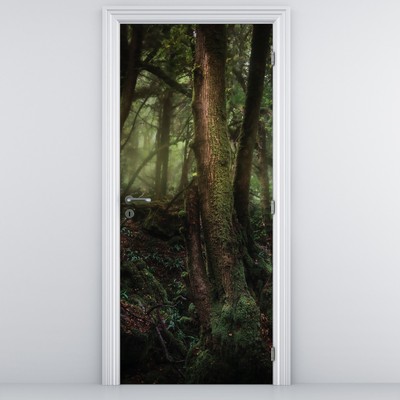 Fototapet pentru ușă - Pădurea misterioasă