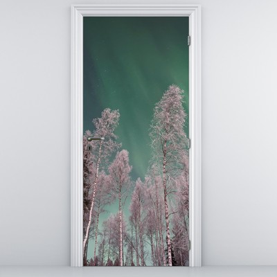 Fototapet pentru ușă - Aurora boreală peste copaci înghețați