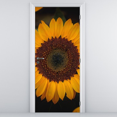 Fototapet pentru ușă - Floarea soarelui și frunze