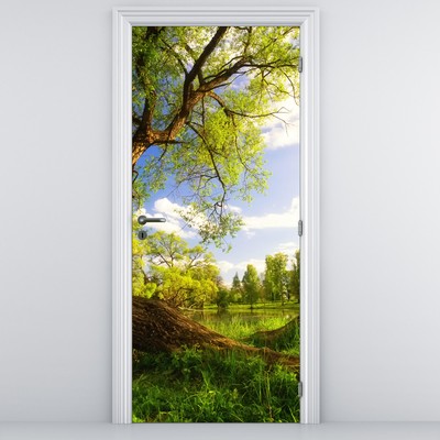 Fototapeta na drzwi - Wiosenna łąka