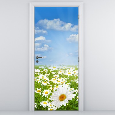Fotótapéta ajtóra - Virágzó rét százszorszépekkel