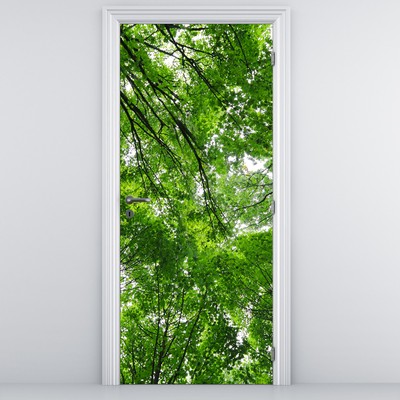 Fototapeta na dveře - Pohled do korun stromů