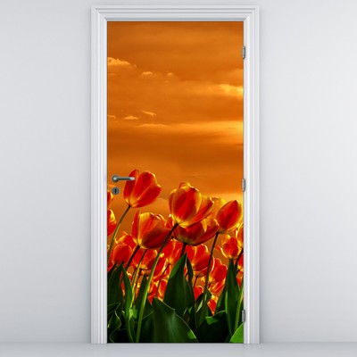 Foto tapeta za vrata - Cvjetajuće polje s tulipanima
