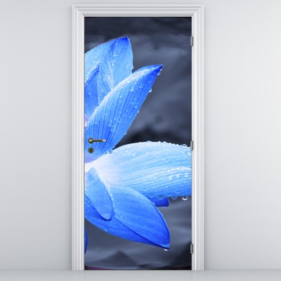 Fototapeta na drzwi - Kwiat w szczegółach