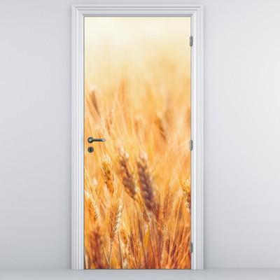 Fotótapéta ajtóra - Mező gabonával