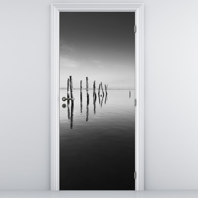 Fototapet pentru ușă - Oglinda apei alb-negru