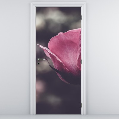 Fotótapéta ajtóra - Rózsavirág részlete