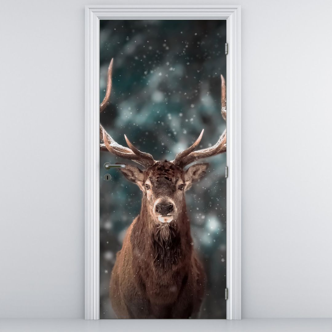 Fototapeta na drzwi - Majestat jelenia (D022092D95205)