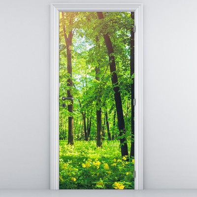 Fototapeta za vrata - Listnati gozd spomladi