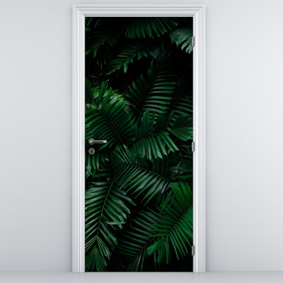 Fotótapéta ajtóra - Trópusi páfrány