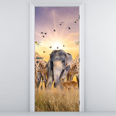 Fototapeta za vrata - Afriške živali