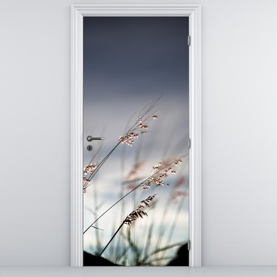 Fototapeta na dveře - Luční kvítí u jezera