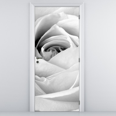 Fototapeta na dveře - Detail květu růže