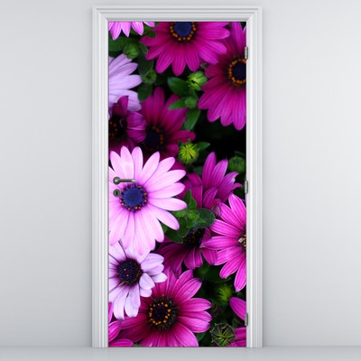 Fototapeta na dveře - Květy
