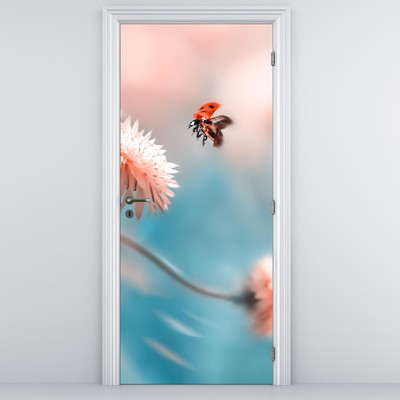 Fototapeta na dveře - Berušky na květu