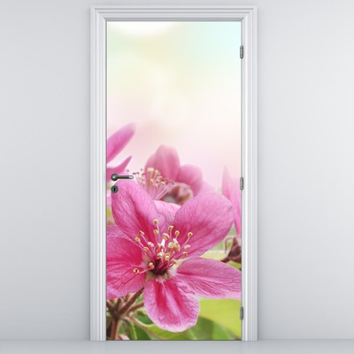 Fototapeta na dveře - Růžové květy