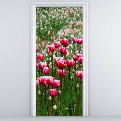 Fototapeta na dveře - Tulipány