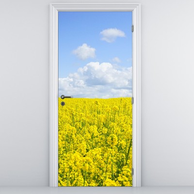 Fototapeta na dveře - Žluté pole