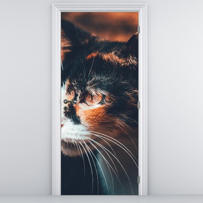 Fototapeta na dveře - Pohled kočky