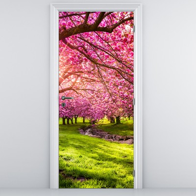 Fototapeta na dveře - Rozkvetlé třešně