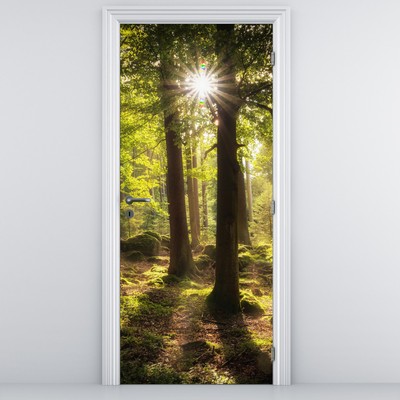 Fototapeta na dveře - Snový les