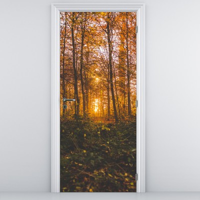 Fototapeta na dveře - Podzimní les