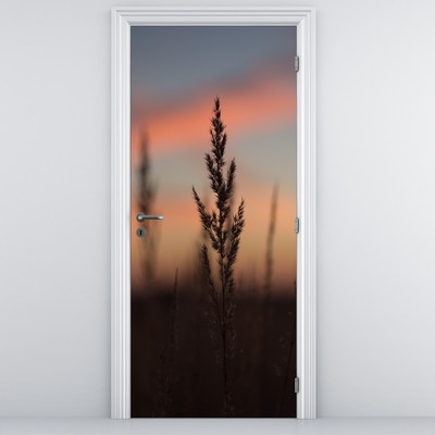 Fototapeta na dveře - Silueta rostliny