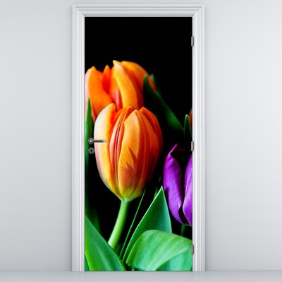 Fototapeta na dveře - Tulipány na černém pozadí