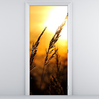 Fototapeta na dveře - Zapadající slunce