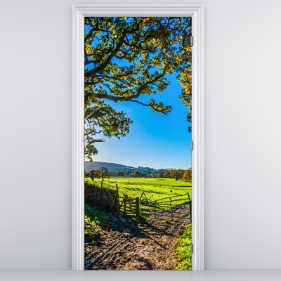 Fototapeta na dveře - Výhled na pole